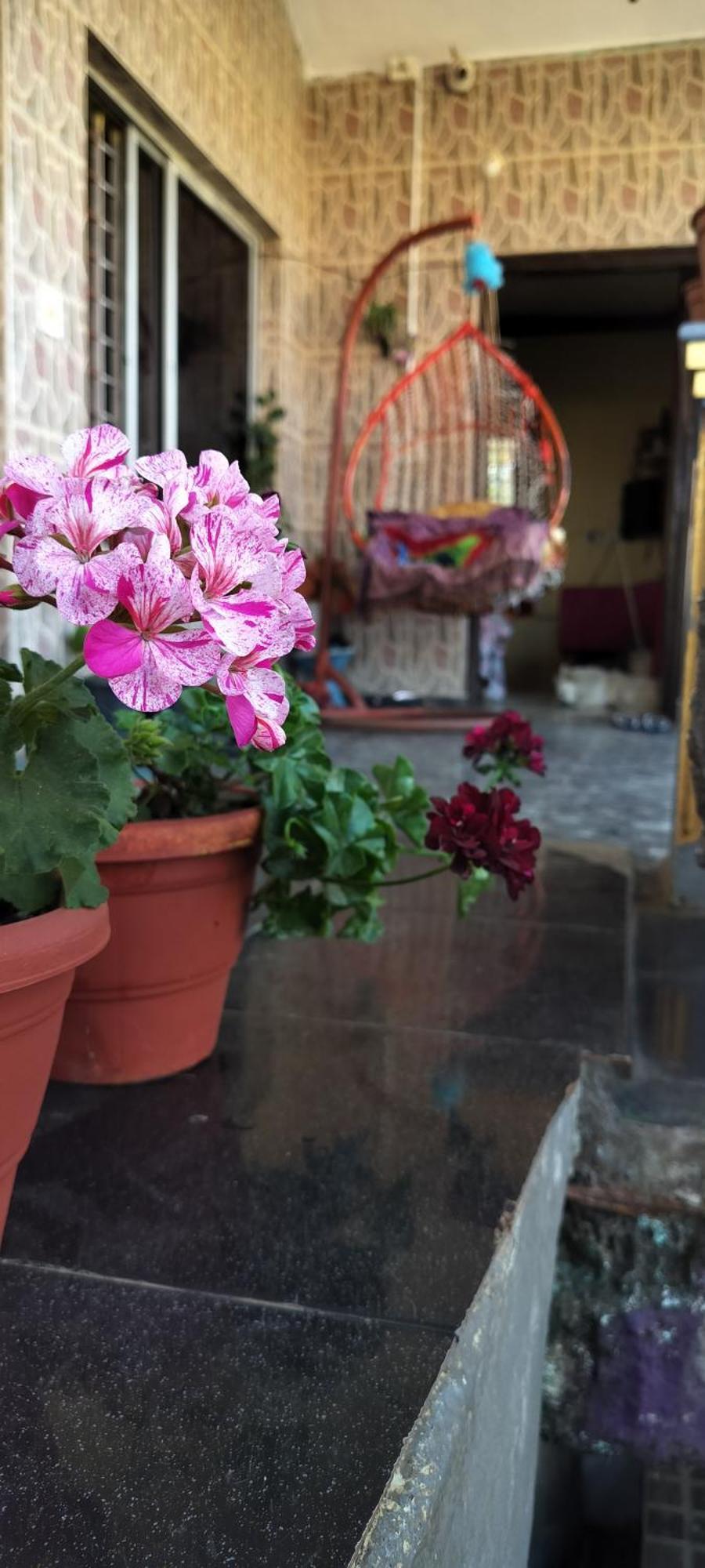 Royal Palm Homestay Madikeri Dış mekan fotoğraf