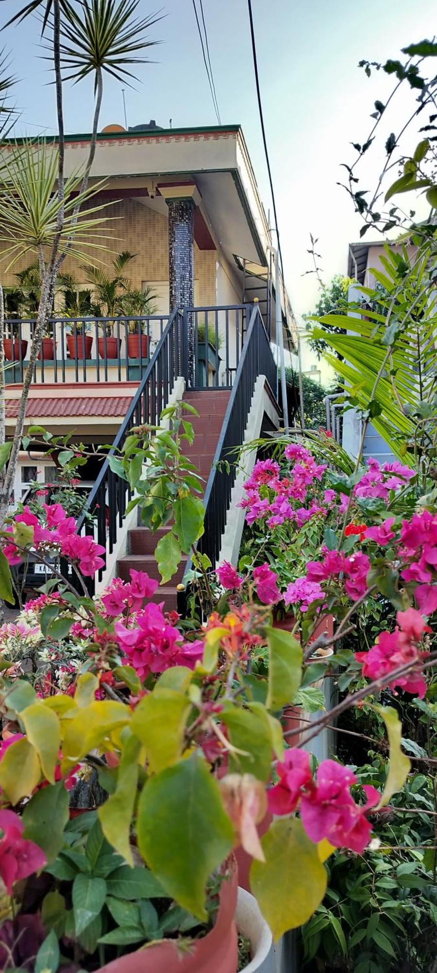 Royal Palm Homestay Madikeri Dış mekan fotoğraf