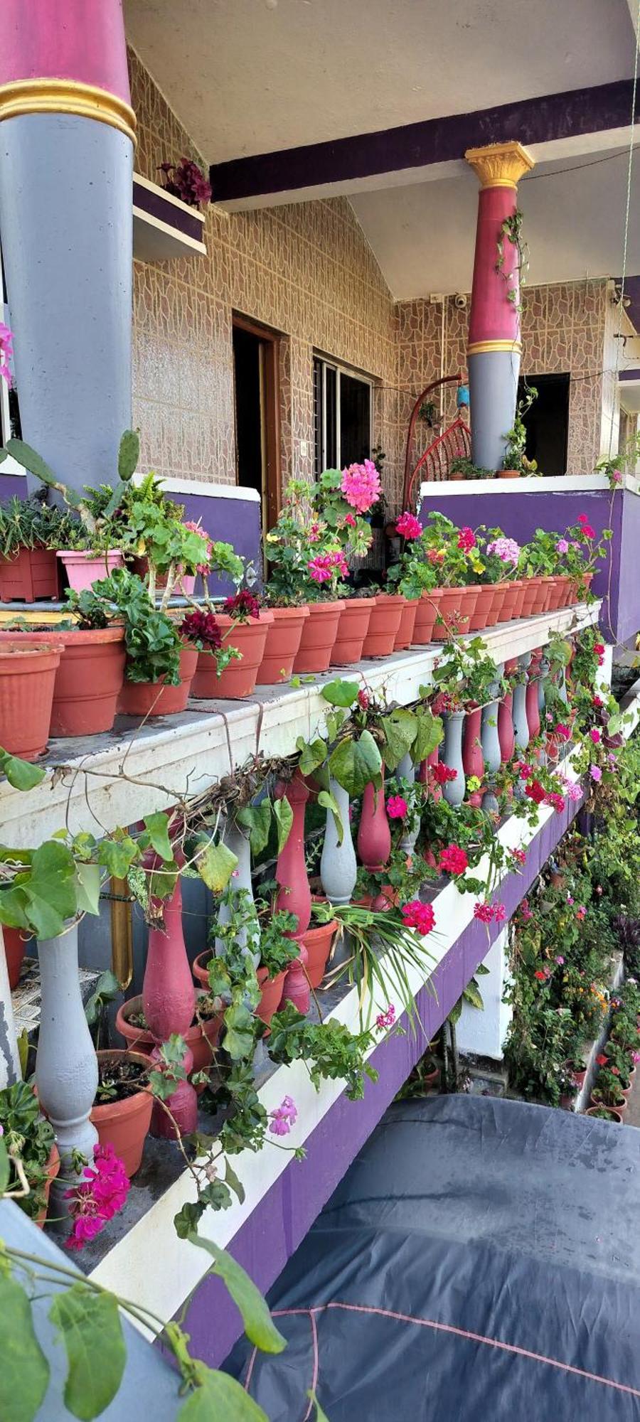 Royal Palm Homestay Madikeri Dış mekan fotoğraf